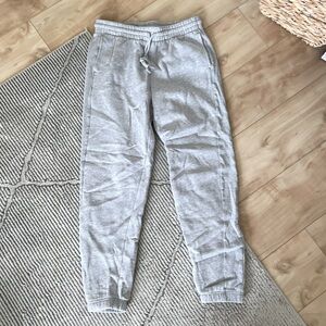 Aritzia TNA Cozy Jogger Sweatpants